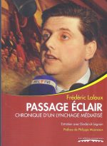 Passage éclair. Chronique d’un lynchage médiatisé